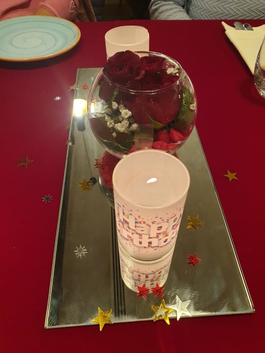 Gastro Acanthus Cennet Barut Collection