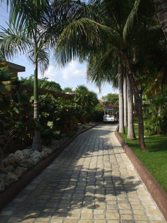 Weg zu den Bungalows mit Hotelshuttle Villas Bavaro Resort & Spa