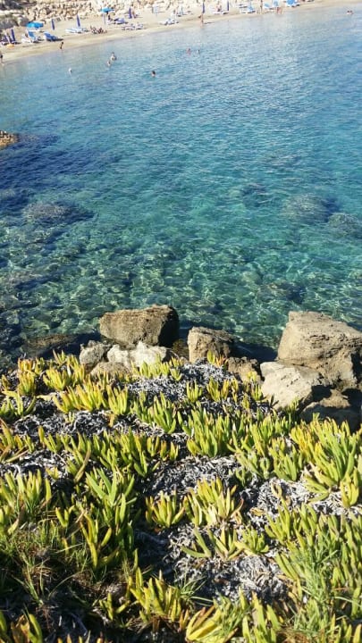 Strand Crystal Springs Beach Hotel