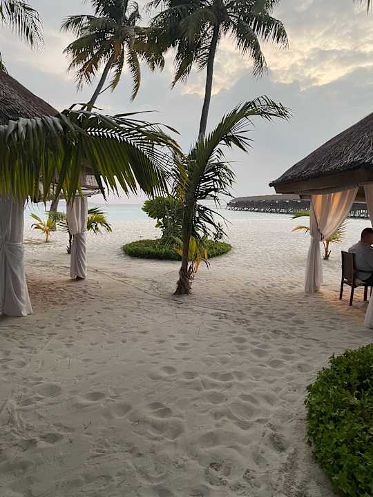 Gastro Reethi Faru Resort