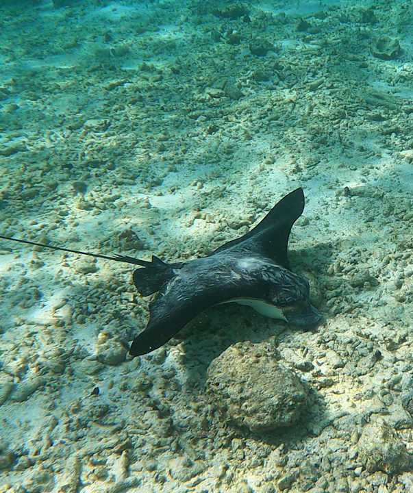 Sonstiges Thulhagiri Island Resort