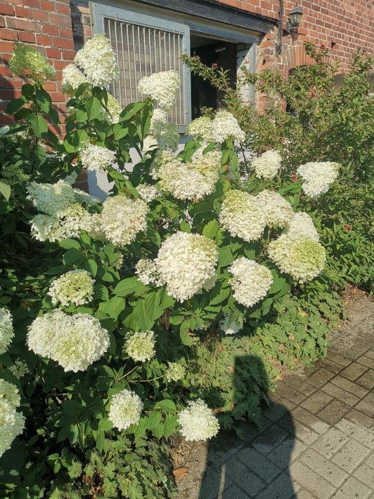 Gartenanlage Gutshof Zum Adlernest