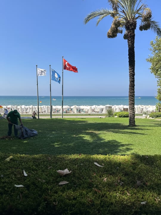 Ausblick Side Star Elegance