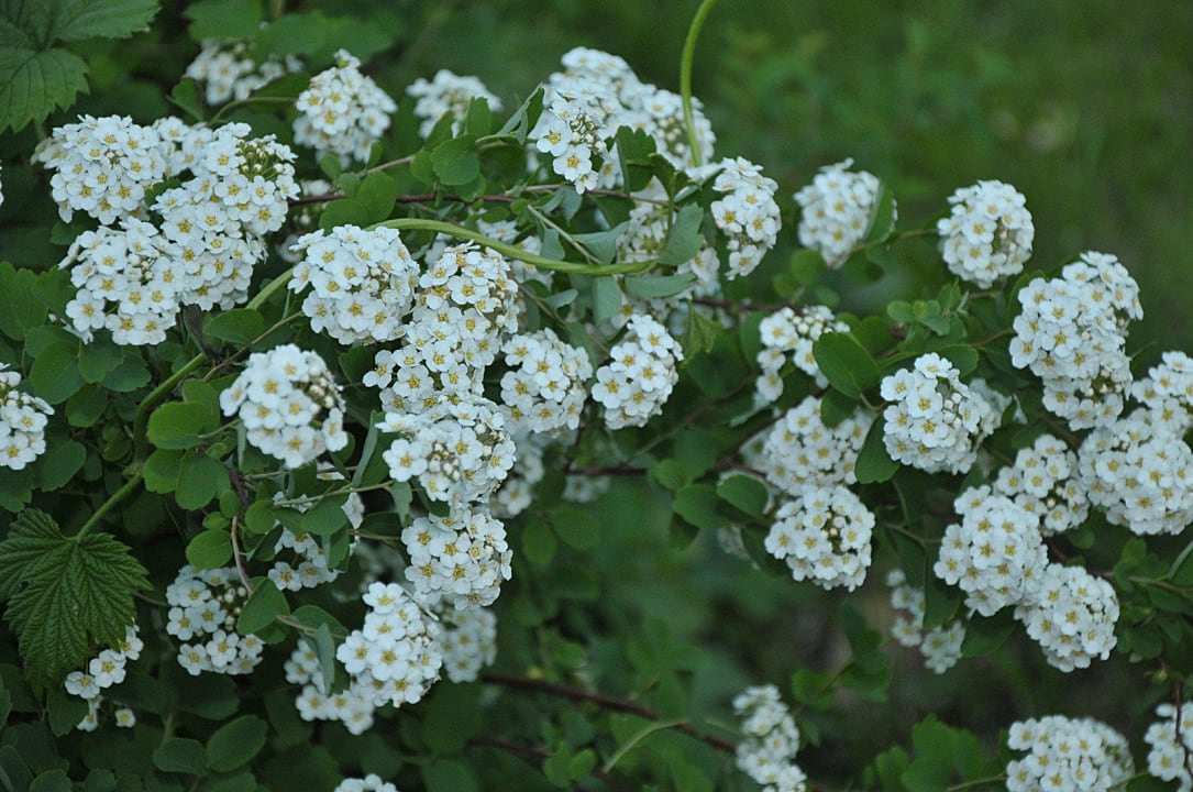 Hostel Гостевой дом "OldRussian" Guesthouse OldRussian