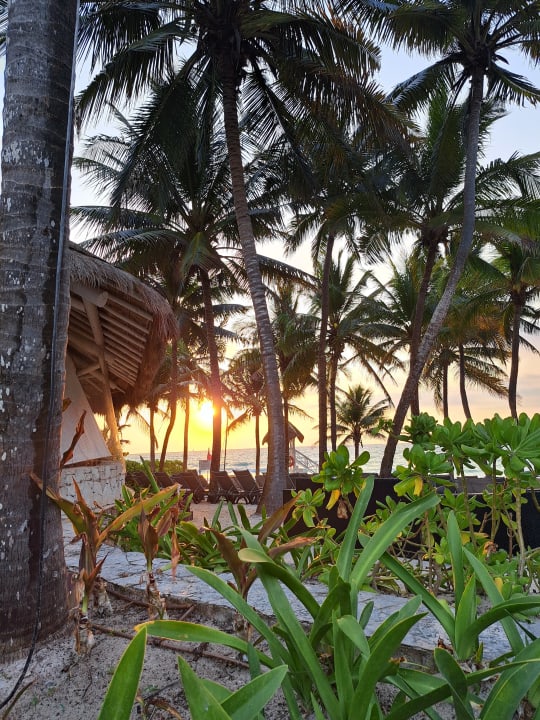 Gartenanlage Catalonia Royal Tulum Beach & Spa Resort - Adults only