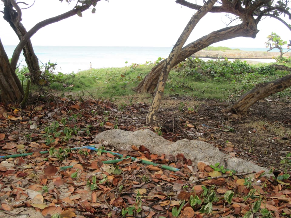 Schutt Sirenis Tropical Varadero