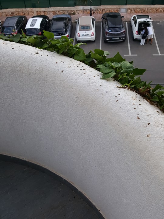 Sonstiges Blue Sea Club Martha’s Resort