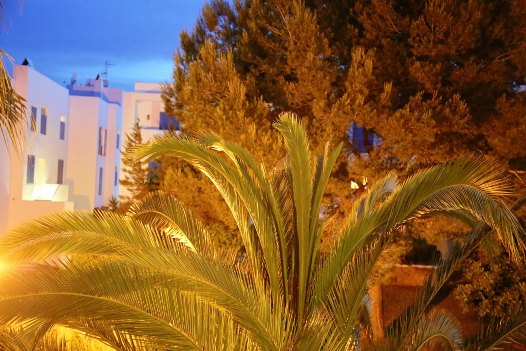 Ausblick Grupotel Santa Eularia & Spa - Adults only