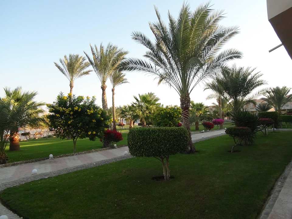 Ogród Three Corners Sea Beach Resort