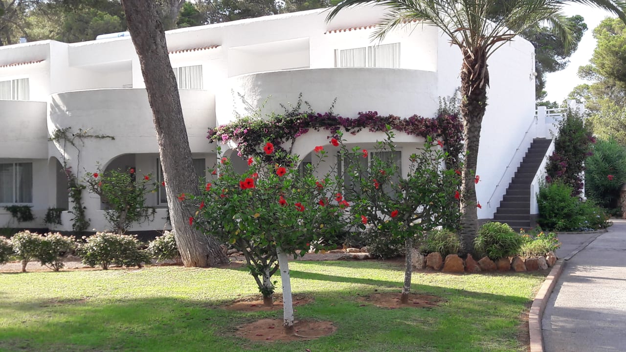 Gartenanlage TUI MAGIC LIFE Cala Pada