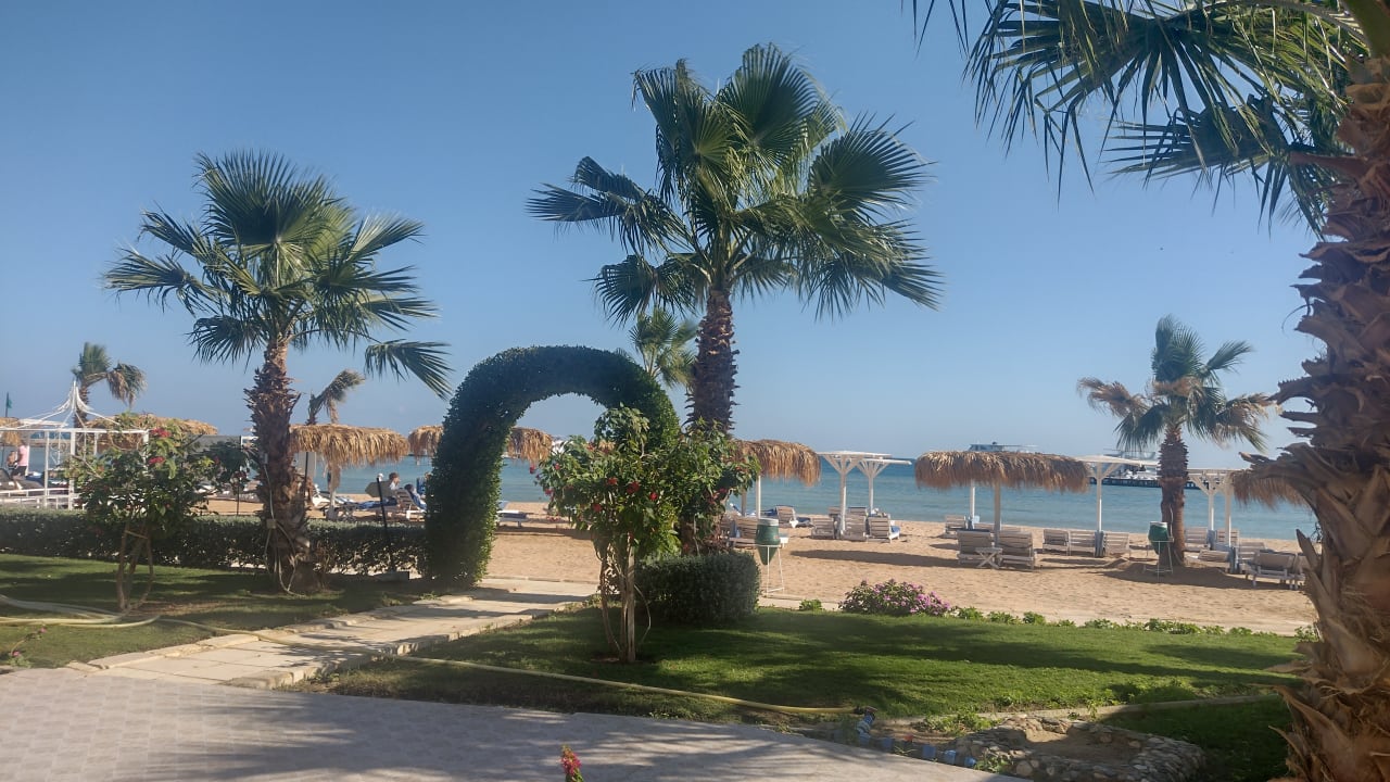 Gartenanlage Shams Safaga Resort