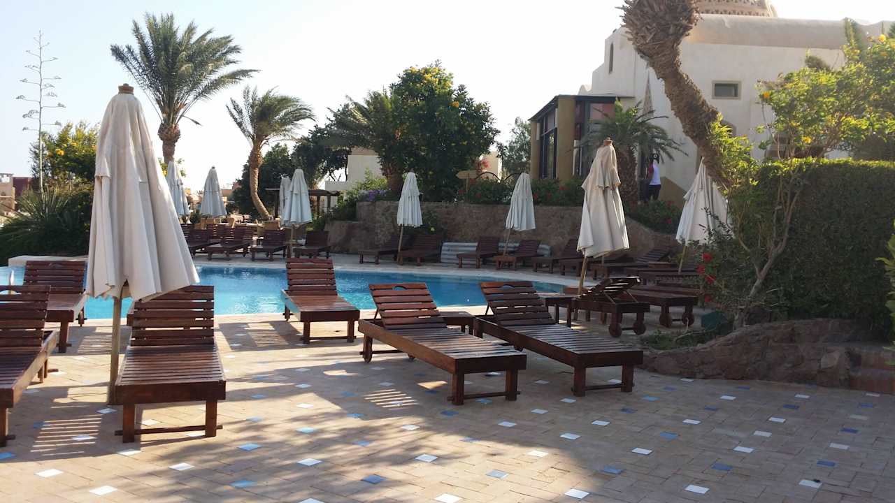 Blick aus dem Zimmer Dawar El Omda - Adults only  (Im Umbau/Renovierung)