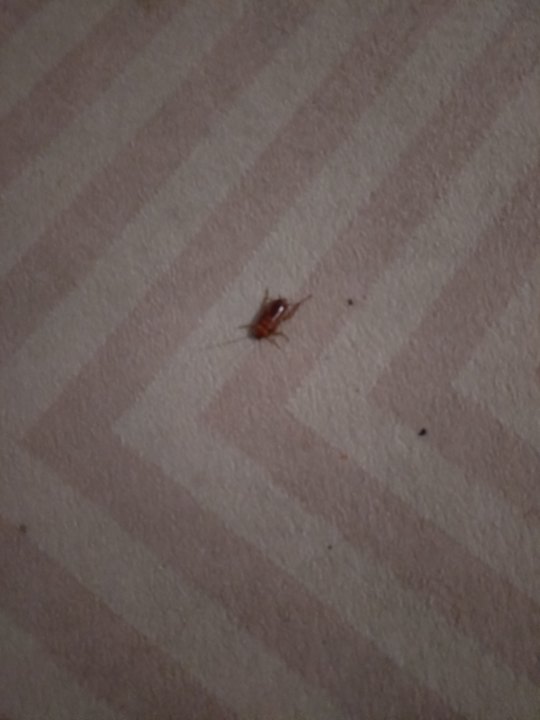 Sonstiges Hotel El Mouradi Palm Marina