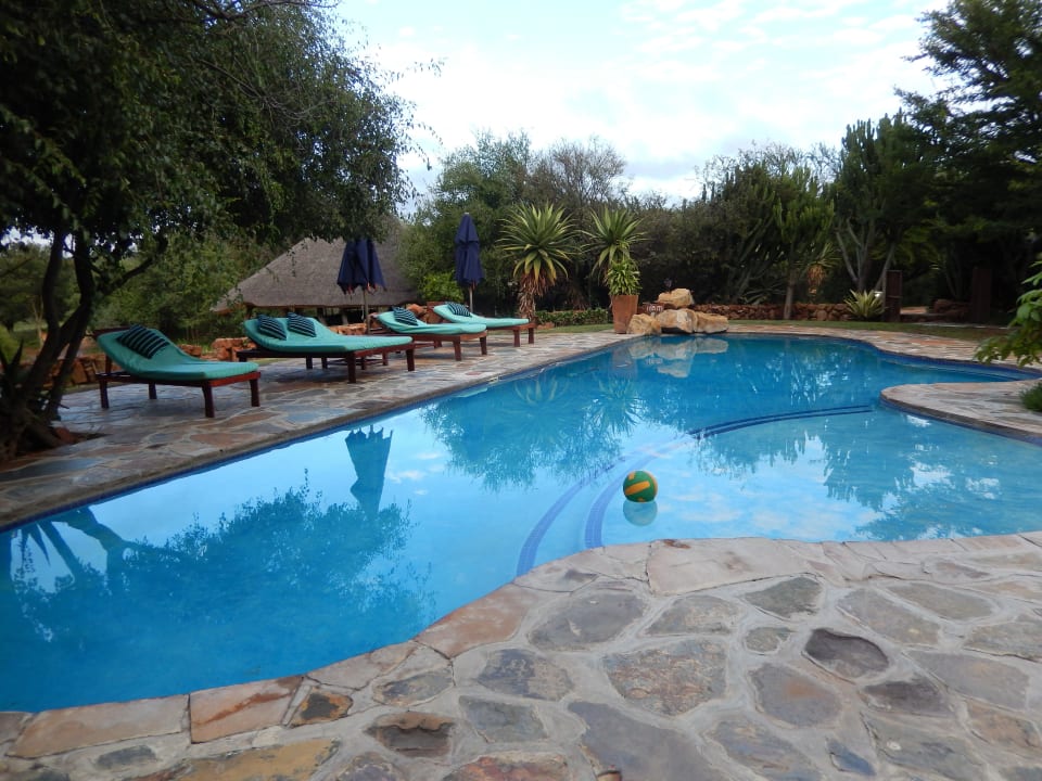 Der Pool Ant's Nest Lodge