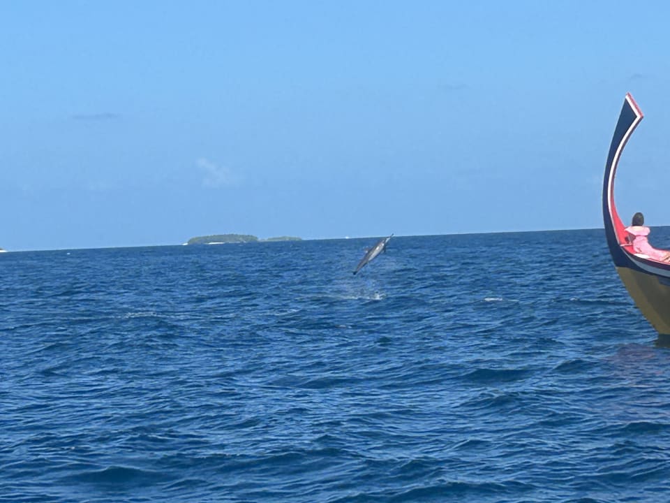 Sport & Freizeit Adaaran Select Meedhupparu Island Resort - Premium All Inclusive