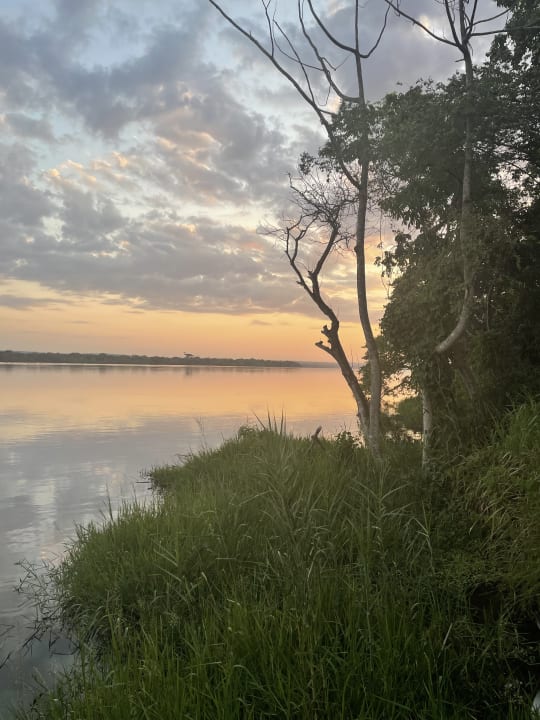Ausblick Nile Safari Lodge