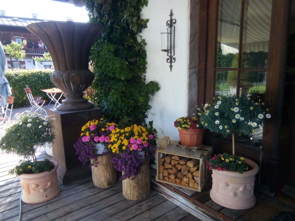 Gartenanlage Pension Louise