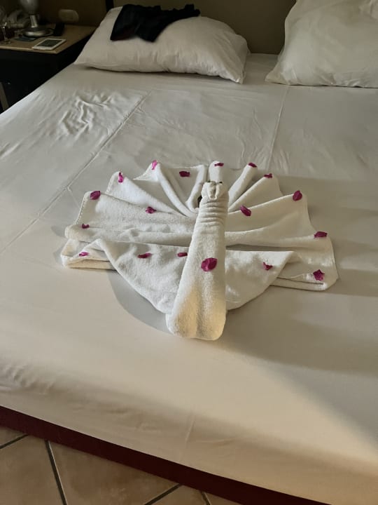 Zimmer Jaz Solaya
