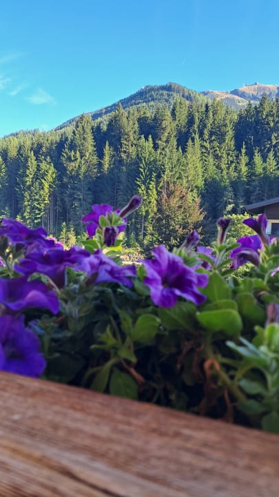 Ausblick Hotel DIE SONNE