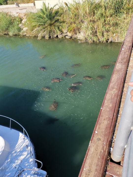 Sonstiges Side Aquamarin Resort & Spa