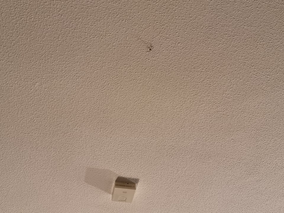 Zimmer Seehotel Grunewald