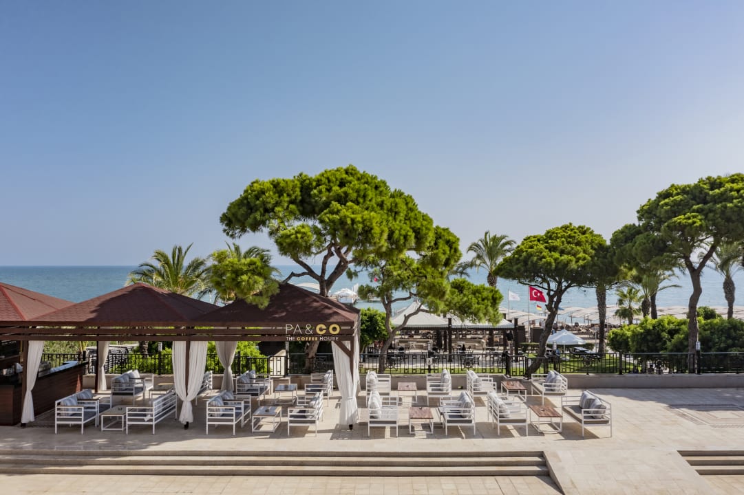 Gastro Papillon Ayscha