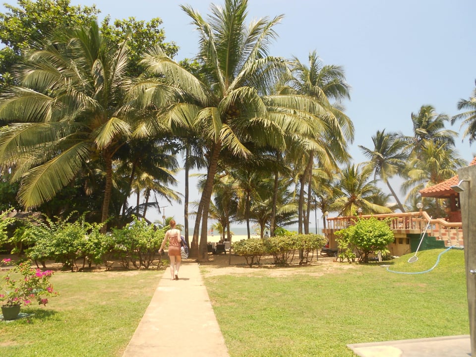 Weg zum Strand Hotel Golden Star Beach