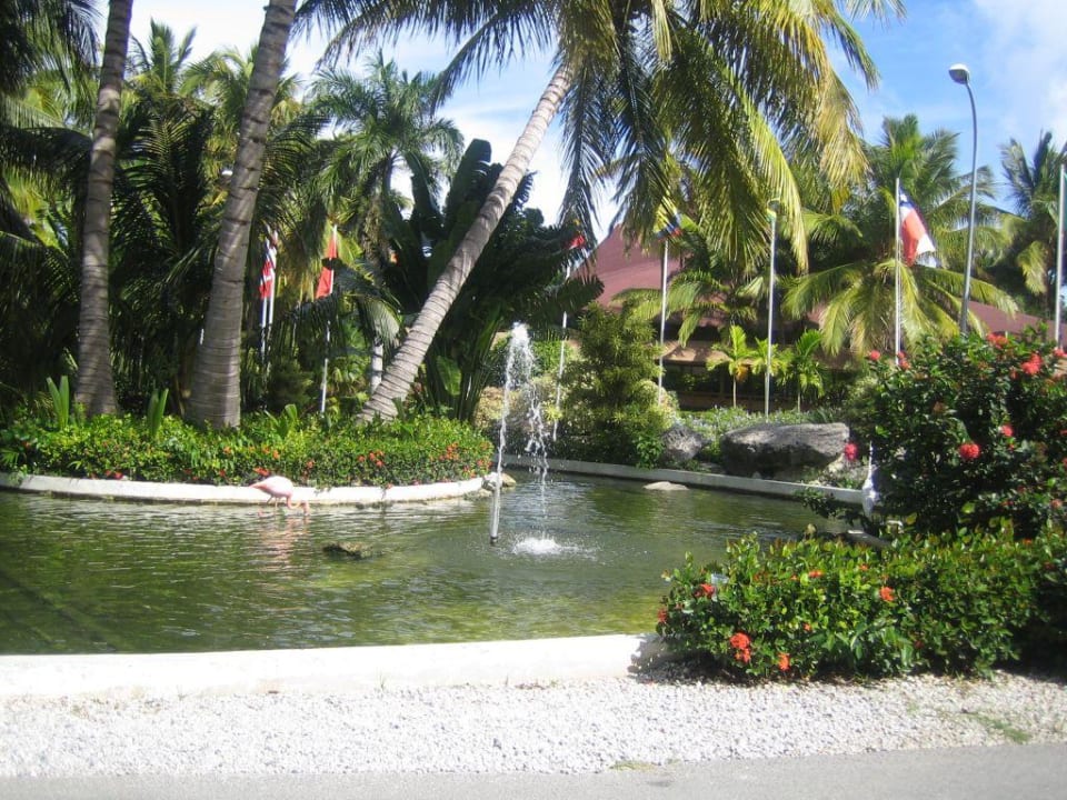 Flamingos TRS Turquesa Hotel - Adults only