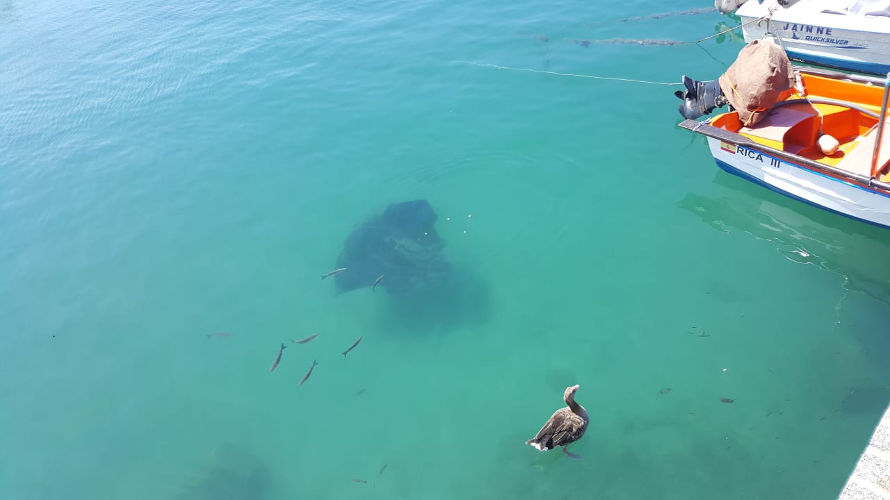 Strand Hotel Riu Palace Jandia