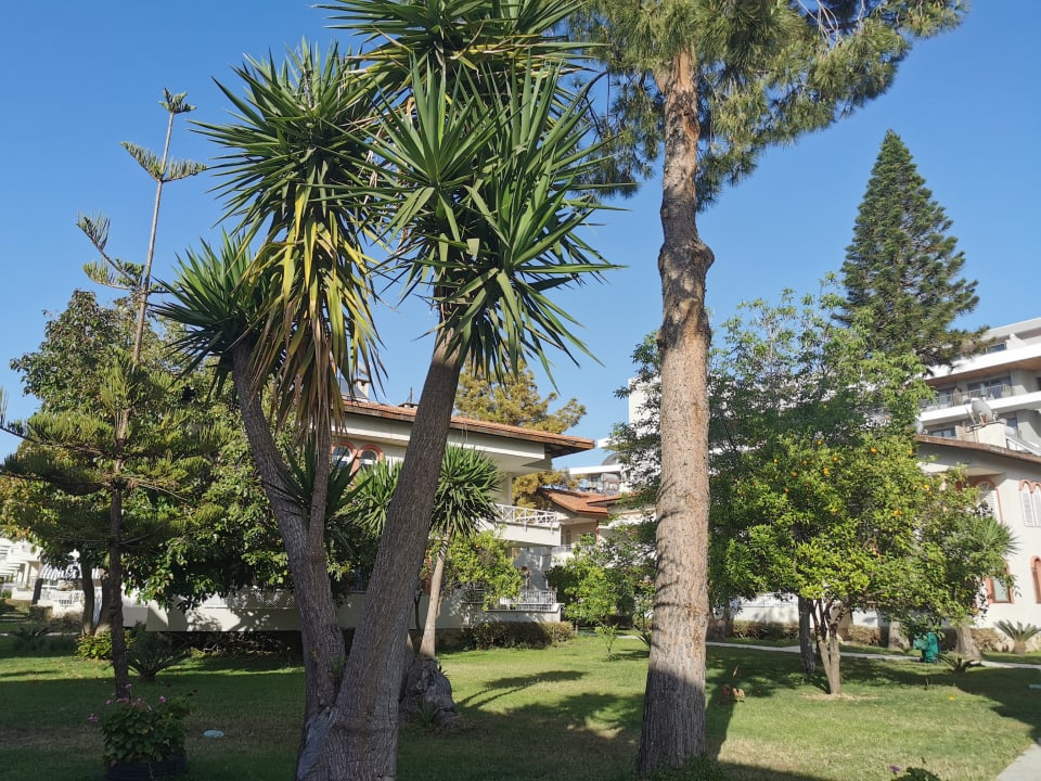 Gartenanlage Hotel Sirma