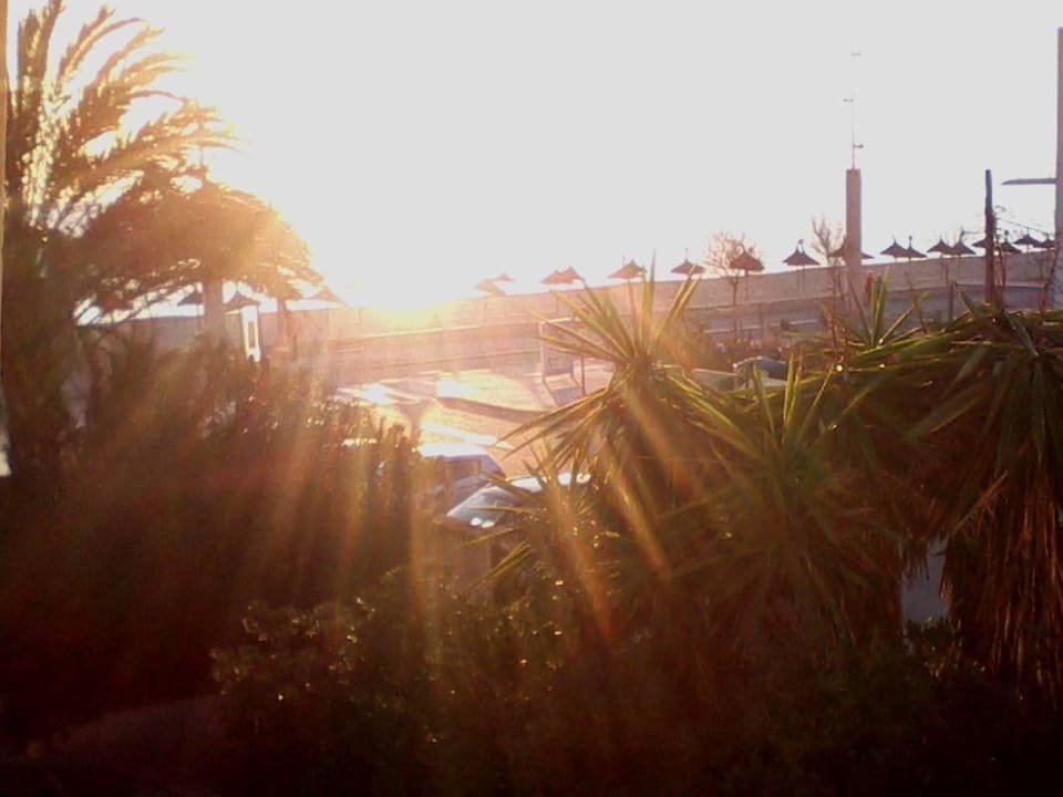 Blick vom Balkon Aparthotel Fontanellas Playa