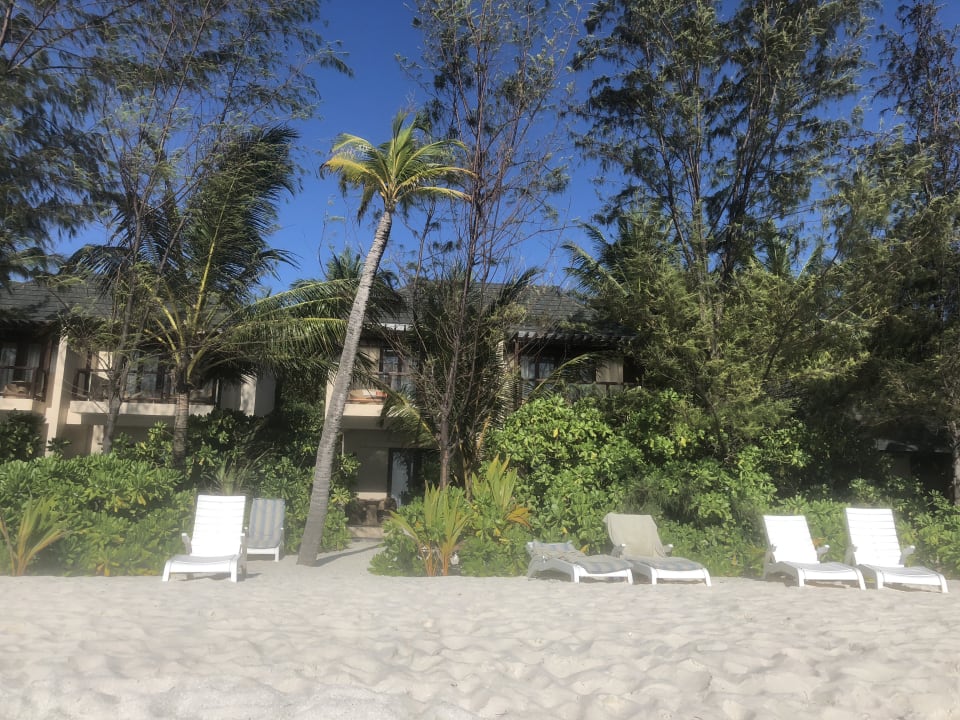 Strand Summer Island Maldives