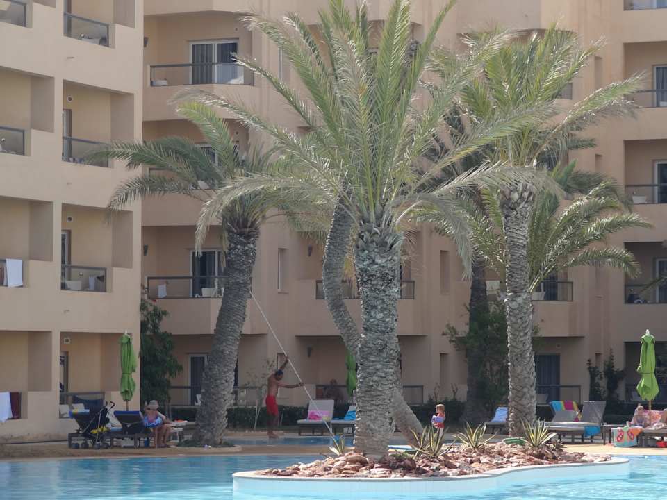 Hotel Hotel Rosa Beach