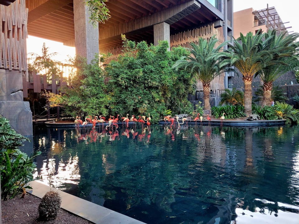 Gartenanlage Lopesan Baobab Resort