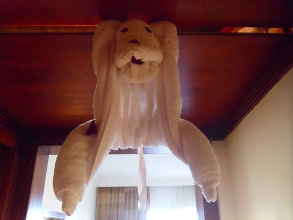 Malpka z recznika Malikia Resort Abu Dabbab