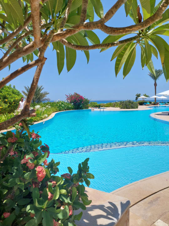 Pool Baron Palace Sahl Hasheesh