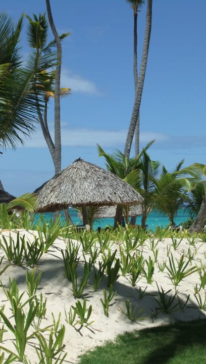 Blick von der Gartenanlage zum Meer Grand Palladium Punta Cana Resort & Spa