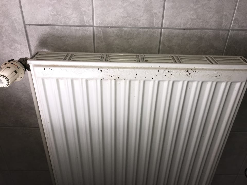 Zimmer Pferdeferien Hirschburg