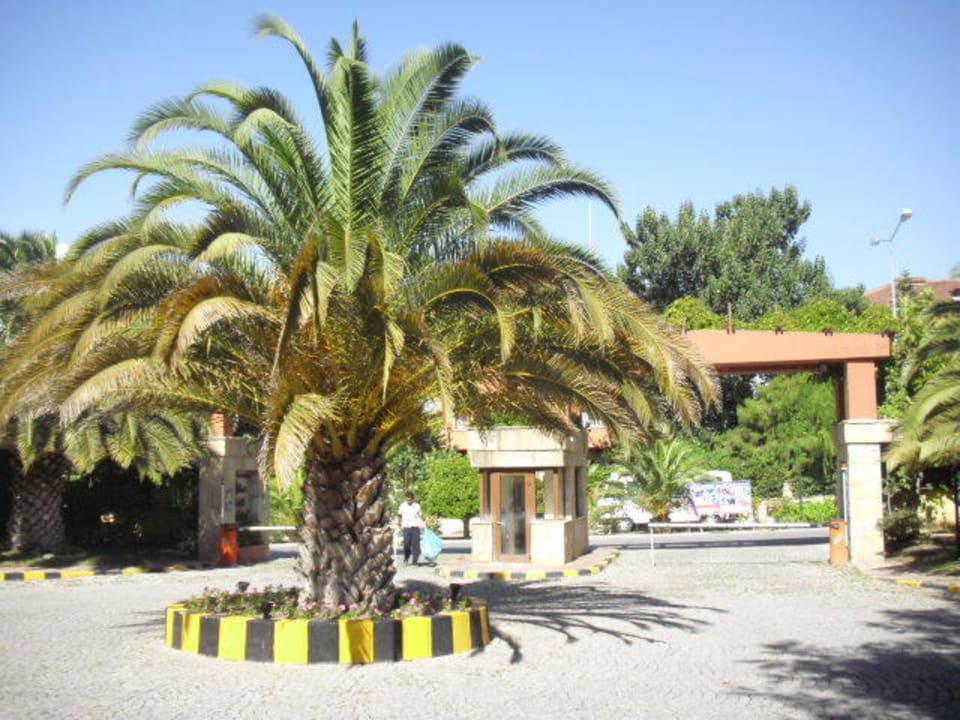 Vor dem Hoteleingang Alba Resort Hotel