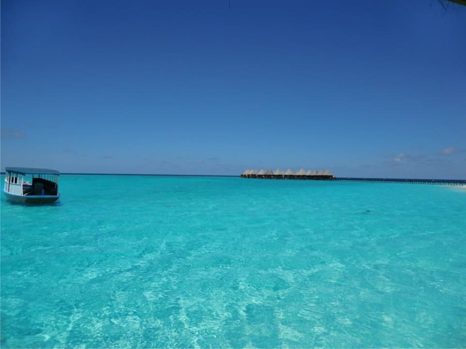 Wasserbungis  Angaga Island Resort
