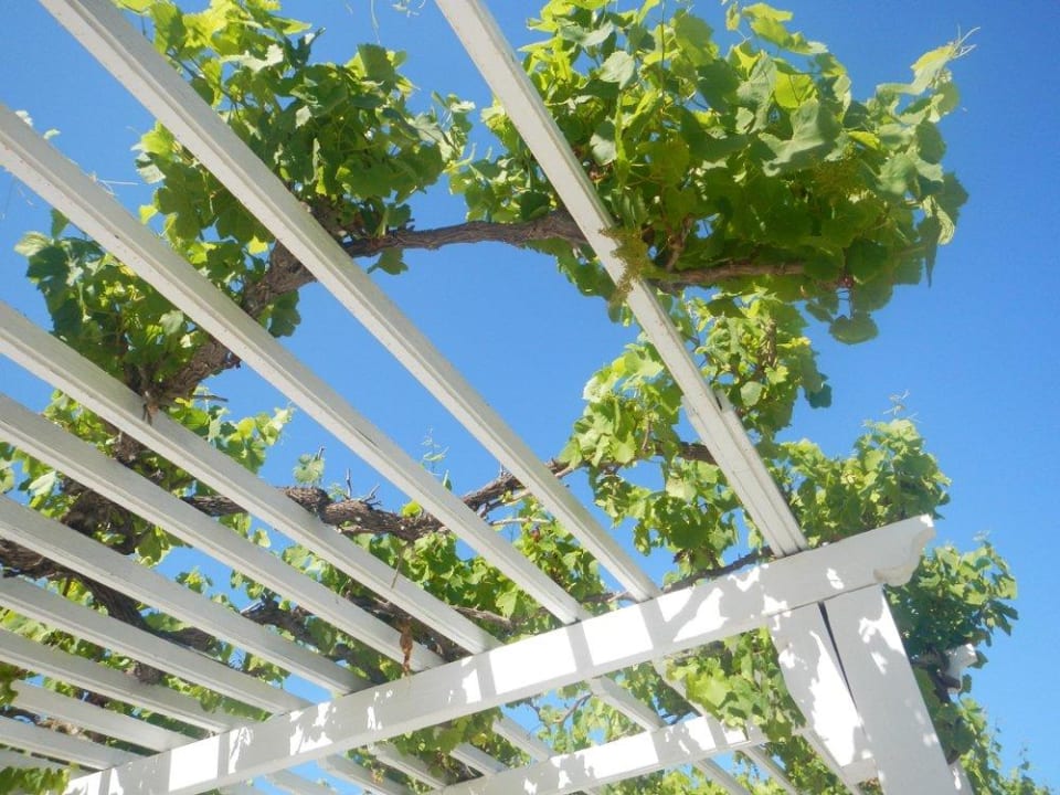 Weg vom Haupthaus zum Pool Hotel El Mouradi Cap Mahdia