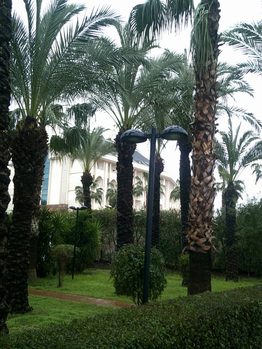 Gartenanlage Calimera Hane Garden