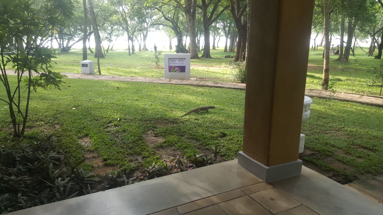 Gartenanlage Habarana Village by Cinnamon