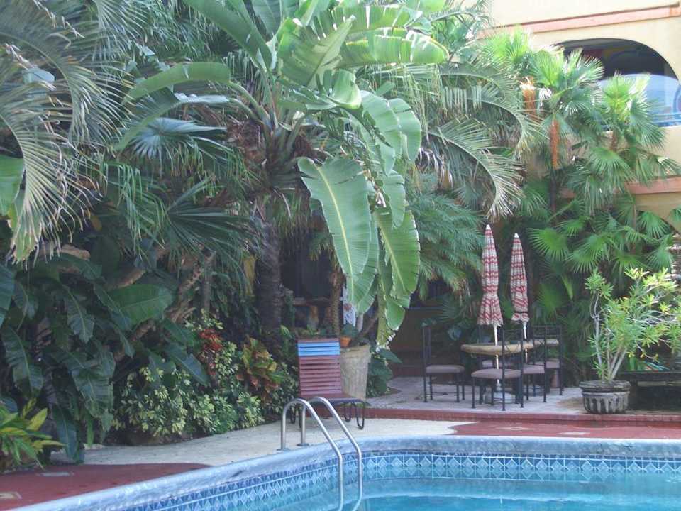 Pool und Garten Hotel Tropi Rock Resort