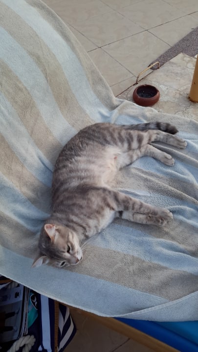 Sonstiges Pickalbatros Alf Leila Wa Leila Resort - Neverland Hurghada