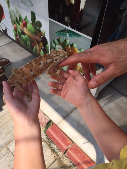 Sonstiges Dream World Aqua Hotel