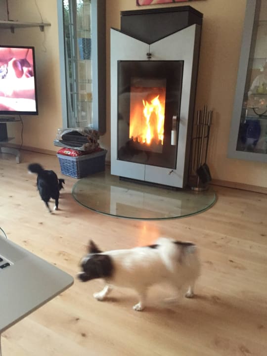 Urlaub mit den Hunden Lemke Ferienhäuser - Ferienhaus 7