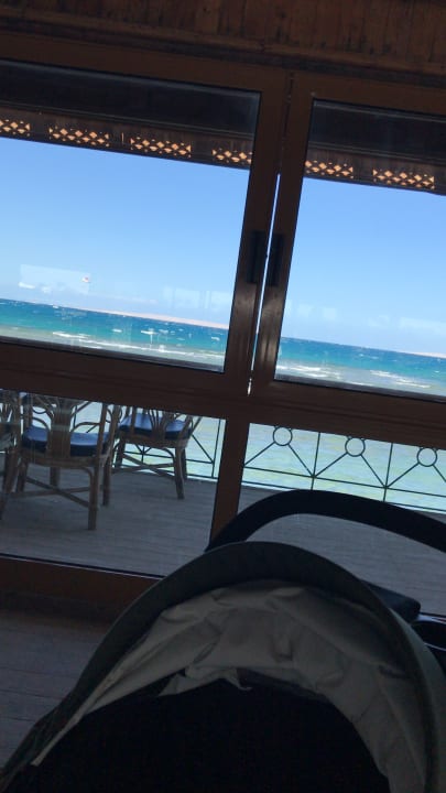 Ausblick Desert Rose