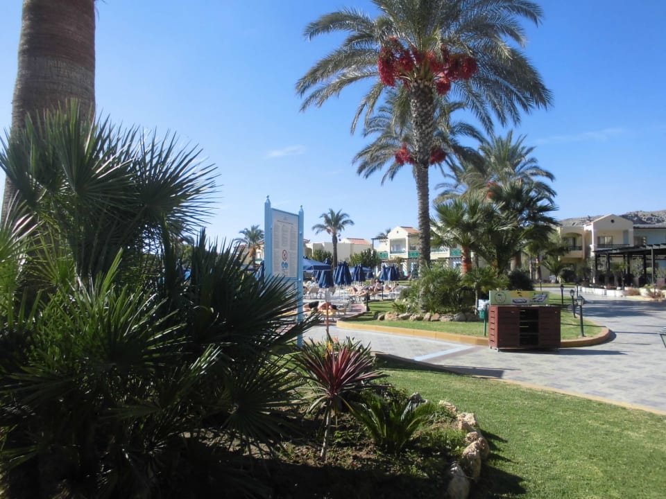 Am Pool Lindos Princess Beach Resort & Spa