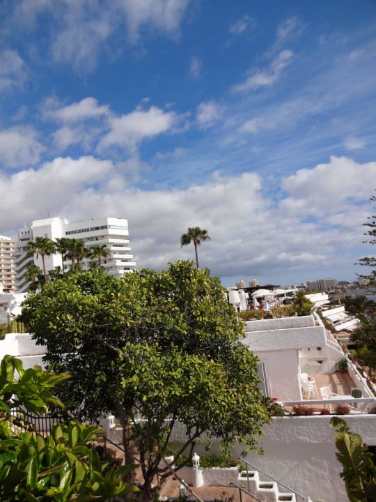 Hotel Dreams Jardín Tropical